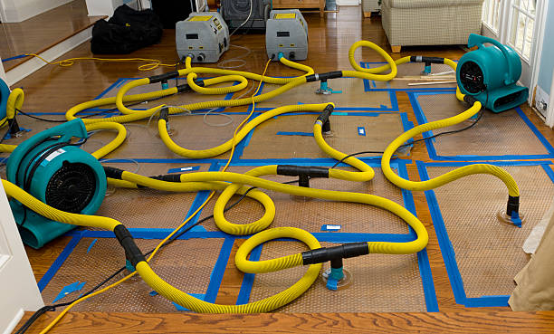 Professional Water Extraction technician working in Friday Harbor, WA